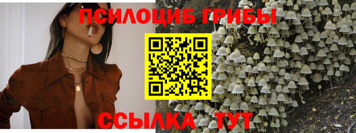 где можно купить   Псилоцибиновые грибы GOLDEN TEACHER  Вход с VPN  Вышний Волочёк 