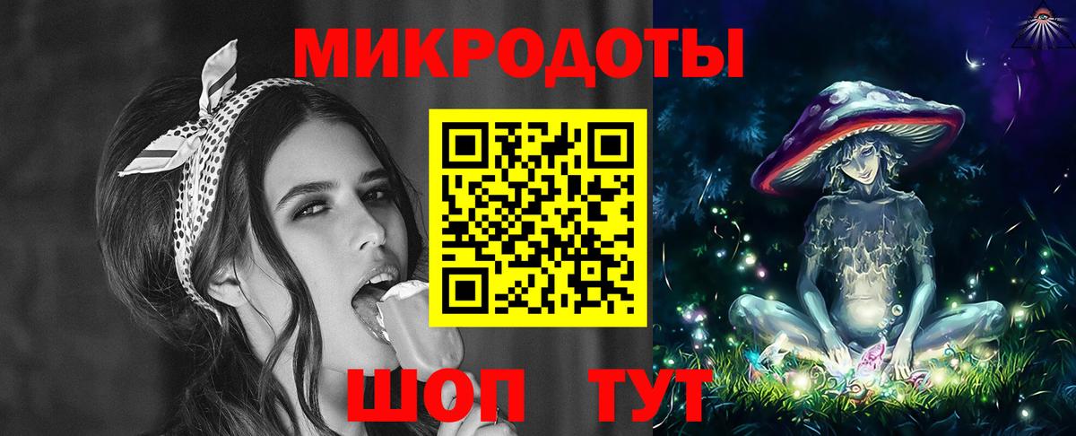 Псилоцибиновые грибы Cubensis Вышний Волочёк