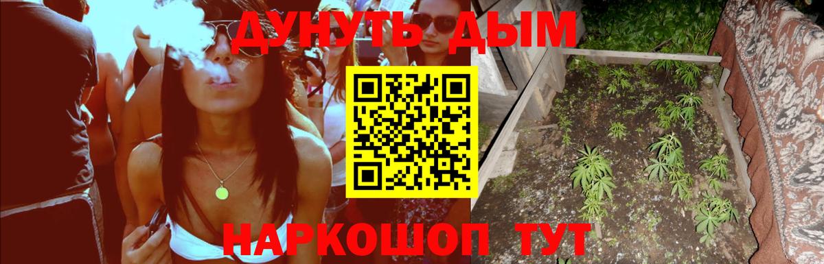 Канабис план  МАРИХУАНА OG Kush  Бошки марихуана конопля  Вход с VPN  Каннабис SATIVA & INDICA  Вышний Волочёк 